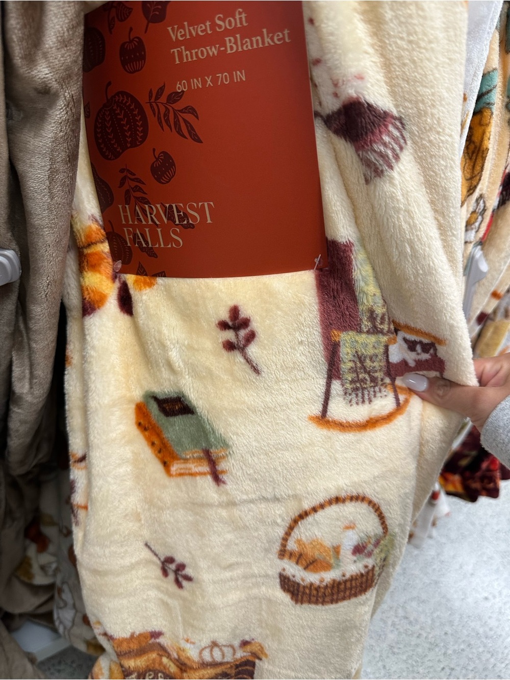 Harvest Falls Autumn Books Picnic Cottage Plush Throw Blanket